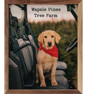 Wapsie Pines Tree Farm